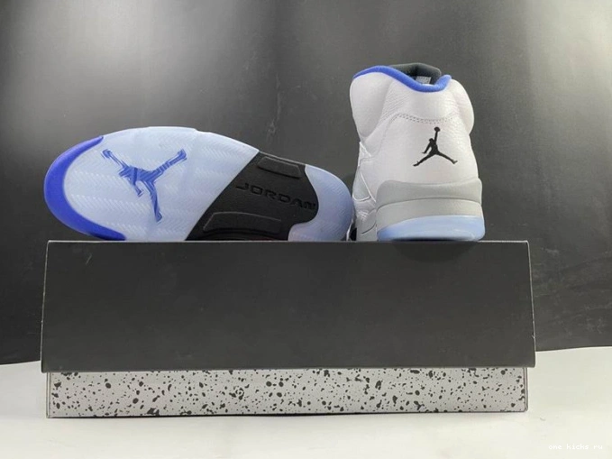 Chep Onekick DD0587-140 Stealth Jordan Air 5 (2021) White Retro 0714